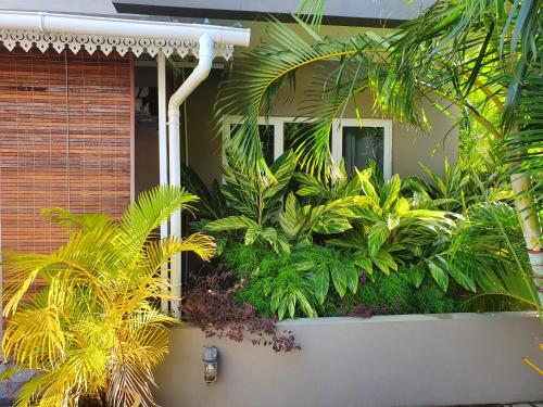 a house with a bunch of plants in front of it at Malvilla in Pereybere