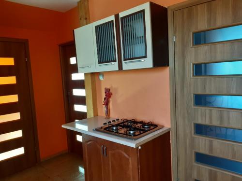 a kitchen with orange walls and a stove top at Wczasy U Piotra in Grabno