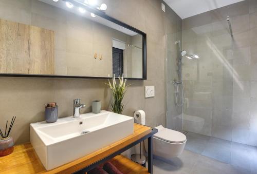 W łazience znajduje się umywalka, toaleta i prysznic. w obiekcie Villa Monte Grosso 2 w Puli