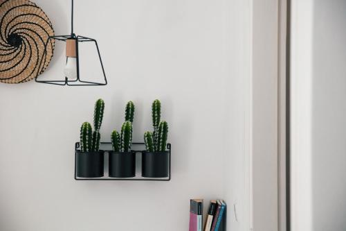 a shelf with three cactus plants on a wall at Gateway Suites in Rethymno Town