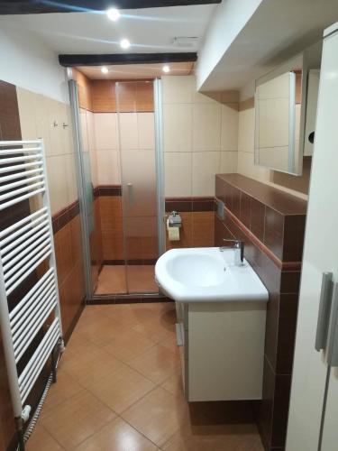a bathroom with a sink and a shower at apartmány Zak in Frymburk