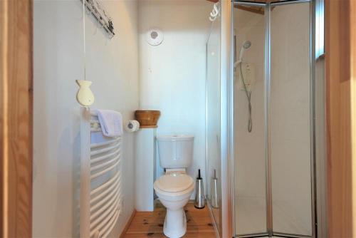 a bathroom with a toilet and a glass shower at St Anton in Lyme Regis