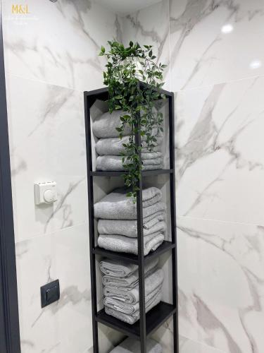 a black towel rack with towels and a plant at Romeo 207 in Oviedo