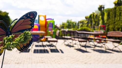 a butterfly sitting on a plant with chairs and tables at Pokoje Tornado in Krynica Morska
