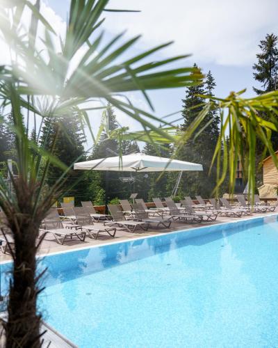 a swimming pool with chairs and a umbrella and a palm tree at Gorski Hotel & Spa in Kopaonik