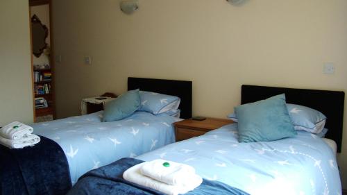 twee bedden naast elkaar in een kamer bij Tregenna Licenced Bed & Breakfast in Pembroke