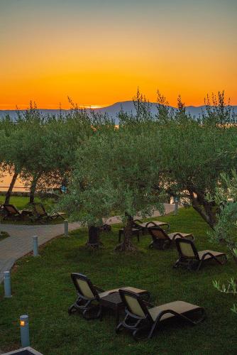 a group of chairs sitting in the grass under an apple tree at Hotel Vila Rova in Malinska