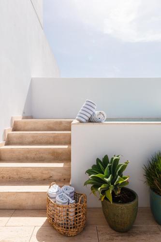 a set of stairs with a potted plant at The Standard, Ibiza in Ibiza Town