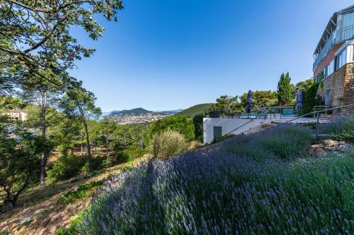 La Belle Californienne – Photos 3