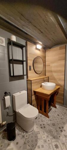 a bathroom with a toilet and a sink at Au coquelicot : gîte cosy pour 8 pers. avec jardin in Ath