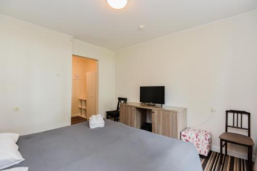 a bedroom with a bed and a tv and a chair at Skalva Nida in Nida