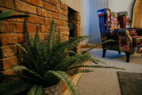 a green plant sitting next to a brick wall at Urban Lofts in Melksham
