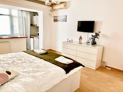 a white bedroom with a large bed and a tv at Victoriei studio in Bucharest