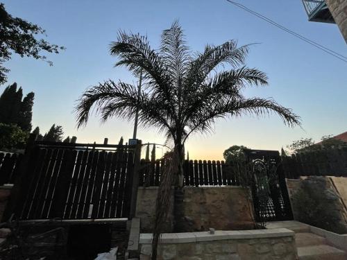 a palm tree in front of a fence at Diamond Apartment In Haifa in Haifa