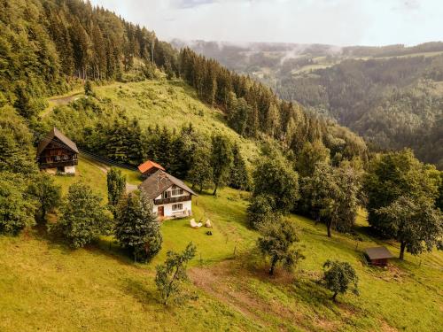 a house on a grassy hill with trees at Almhaus Kochjosel in Garanas
