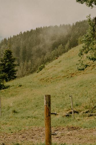 a wooden fence on a grassy hill with trees at Almhaus Kochjosel in Garanas