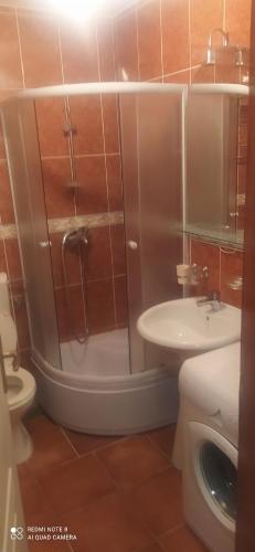 a bathroom with a shower and a toilet and a sink at Apartman Becici beach in Bečići