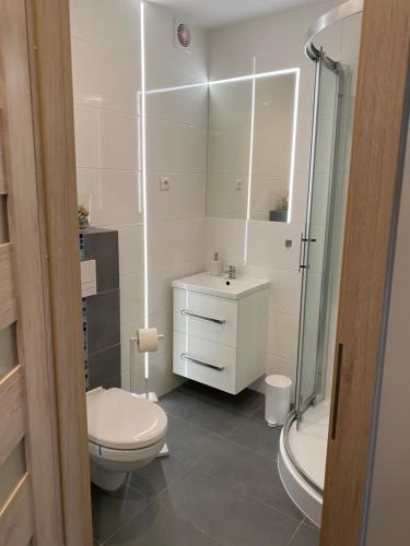 a bathroom with a toilet and a sink and a shower at Apartament Etna in Kołobrzeg