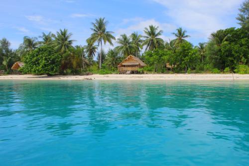 a beach with palm trees and a gazebo at Raja Ampat Jousuba Homestay in Minyaifuin