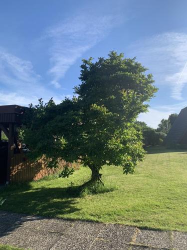 Un jardín fuera de Glückshaus