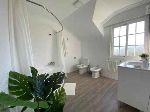 坎加斯德穆拉索的住宿－"A Marosa", bonito chalet dúplex，一间带卫生间、水槽和植物的浴室