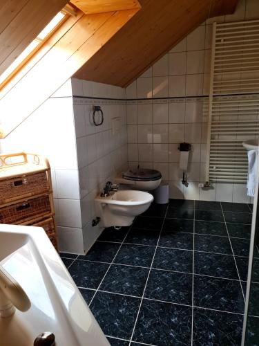 a bathroom with a sink and a toilet in it at Schloss Blick Bredendiek OG in Jever