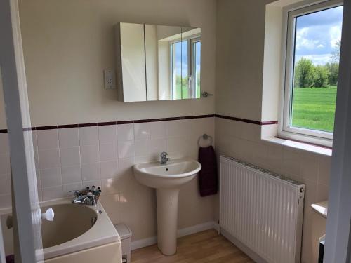 a bathroom with a sink and a mirror at Acreland Green in Pleshey
