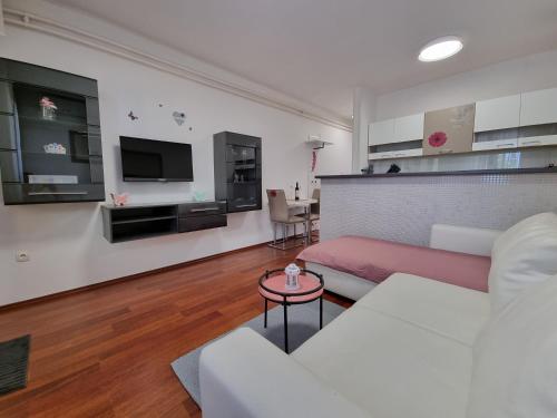 DIJANA Apartment with terrace