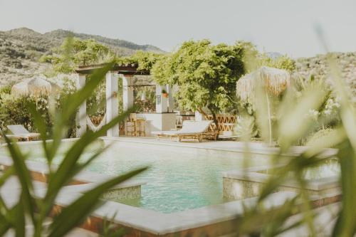 ein Pool mit Stühlen und ein Resort in der Unterkunft Hacienda el Tarajal in Priego de Córdoba