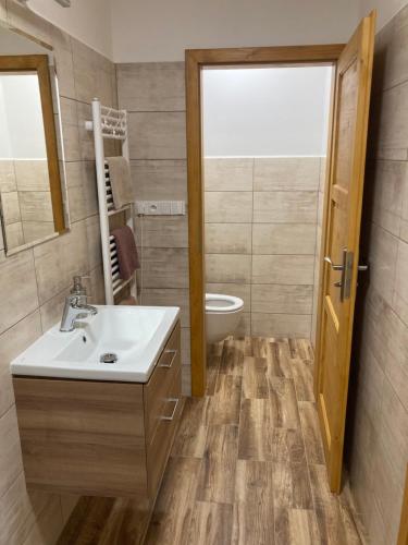 uma casa de banho com um lavatório e um WC em Ubytování Šmudla em Znojmo