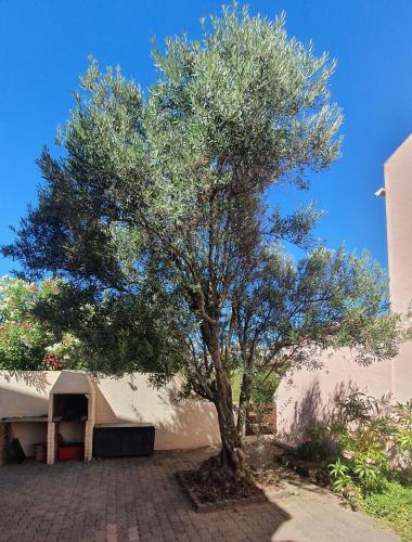 Appartement et vaste terrasse à 30 m des dunes
