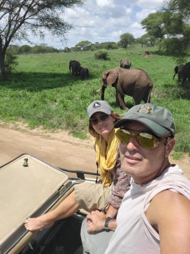 a man and a woman riding in a car with elephants at Holiday cottage by the river, Arusha in Arusha