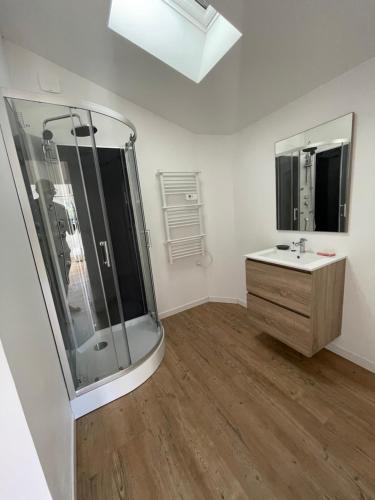 een badkamer met een douche en een wastafel bij La grange in Saint-Laurent-sur-Sèvre