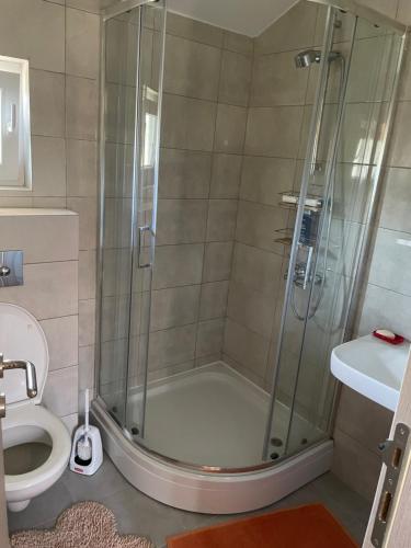 een badkamer met een douche en een toilet bij Banja Vrujci in Mionica