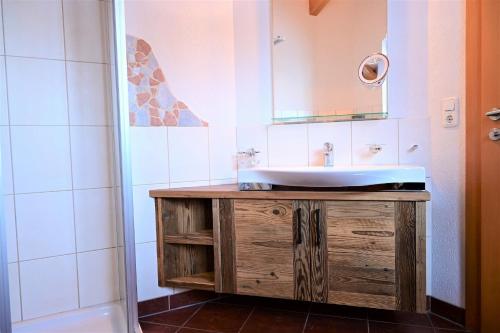 ein Bad mit einem Waschbecken und einem Spiegel in der Unterkunft Appartement Sonnenspitze in Biberwier