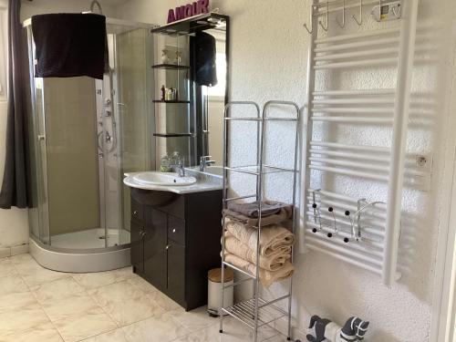 La salle de bains est pourvue d'un lavabo et d'une douche. dans l'établissement 2 bedroom ground floor modern apartment 4km beach, à Villelongue-de-la-Salanque