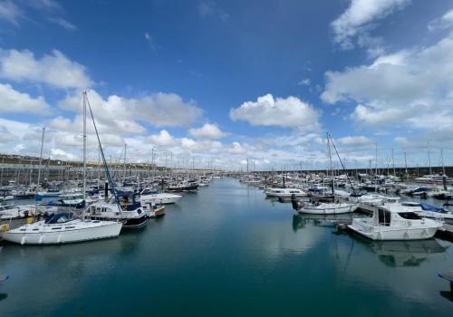 a bunch of boats are docked in a marina at One-of-a-Kind Stay Free Parking in Brighton & Hove