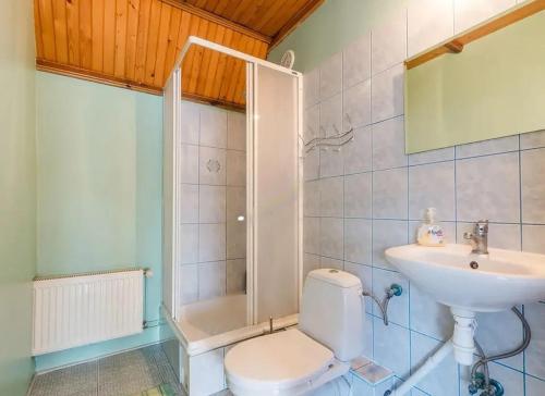 a bathroom with a toilet and a sink and a shower at Pokoje Wilkasy in Wilkasy