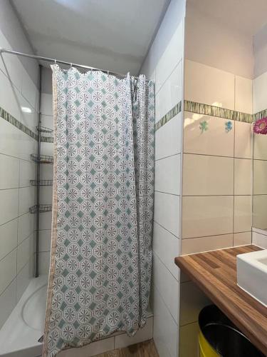 une salle de bain avec un rideau de douche et un lavabo dans l'établissement Joli appartement F2 centre ville de Corte, à Corte