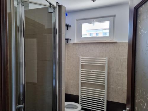 a bathroom with a shower with a toilet and a window at Yla Apartments in Piatra Neamţ