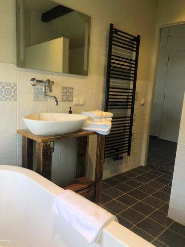 a bathroom with a white sink and a mirror at B&B De Beijersche Stee , Logies in de Wagenschuur in Stolwijk