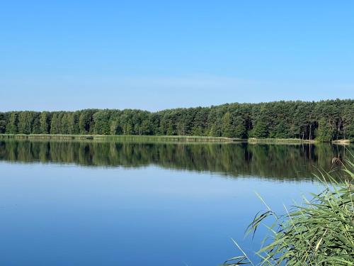 Family & Business Sauna Apartments No15 Leśny nad Zalewem Cedzyna Unikat - 3 Bedroom with Private Sauna, Bath with Hydromassage, Terrace, Garage, Catering Options