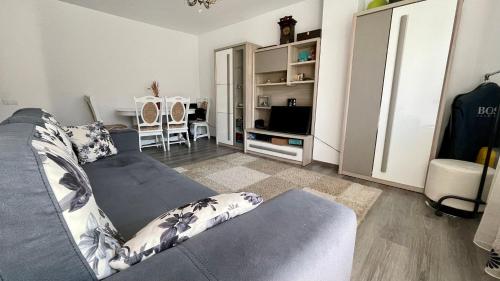 a living room with a gray couch and a television at Central Quick, private parking in Cluj-Napoca