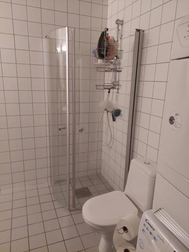 Un baño blanco con ducha y WC. en Shared apartment, Down Town Oslo, Osterhaus'gate 10, en Oslo