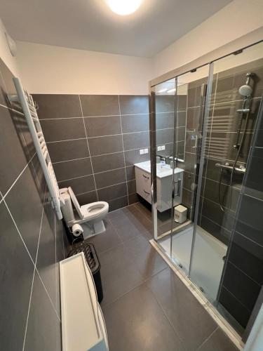 uma casa de banho com um chuveiro, um WC e um lavatório. em Appartement tout équipé centre ville Menton em Menton