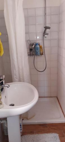 een badkamer met een douche en een witte wastafel bij sanremo vista mare in Sanremo