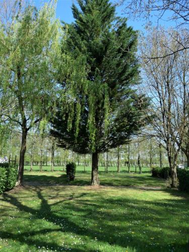 a tree in a park with green grass and trees at L'Oasis des Dombes in Ambérieux-en-Dombes