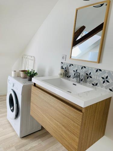 a bathroom with a sink and a washing machine at Centre ville (2): superbe appartement climatisé in La Flèche