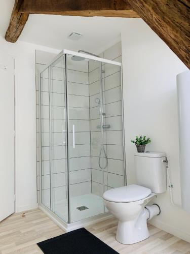 uma casa de banho com uma cabina de duche em vidro e um WC. em Centre ville (2): superbe appartement climatisé em La Flèche