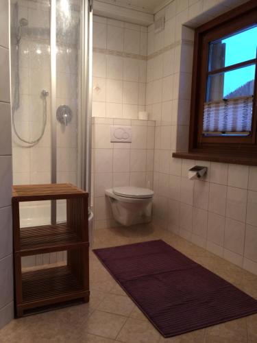 a bathroom with a shower and a toilet and a window at Arlenheim in Sankt Anton am Arlberg